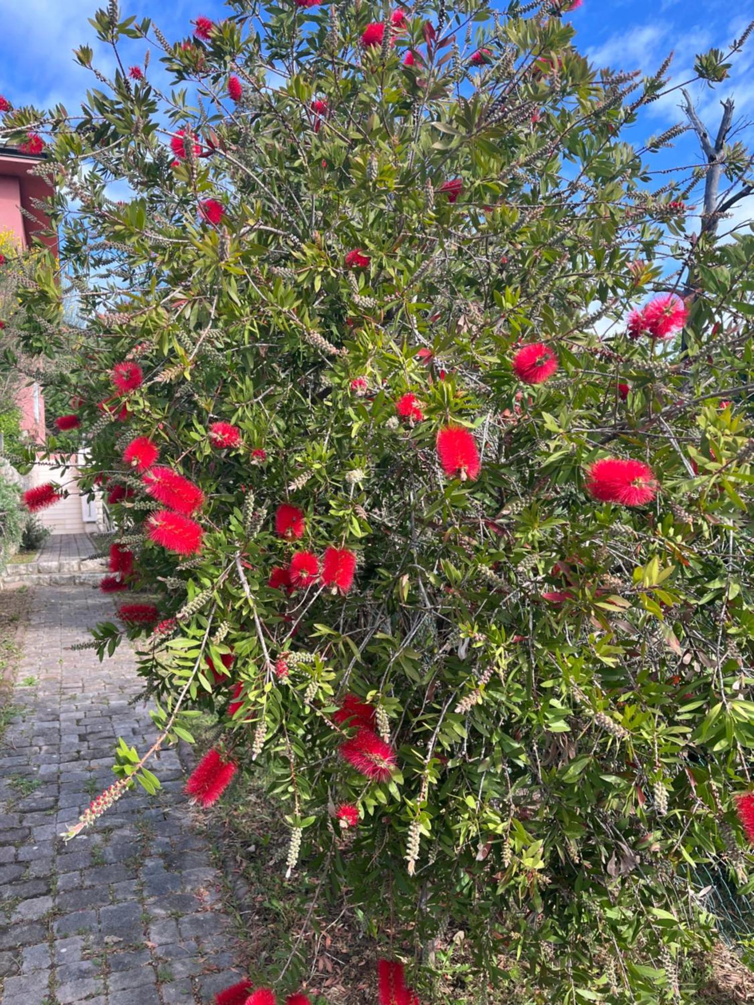 Villa Matovica Kampor Екстериор снимка
