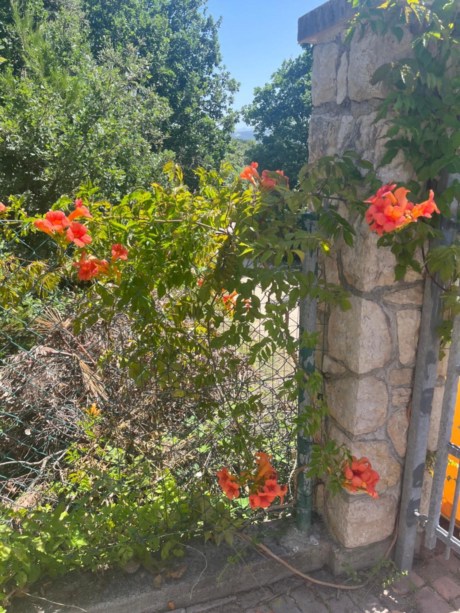 Villa Matovica Kampor Екстериор снимка