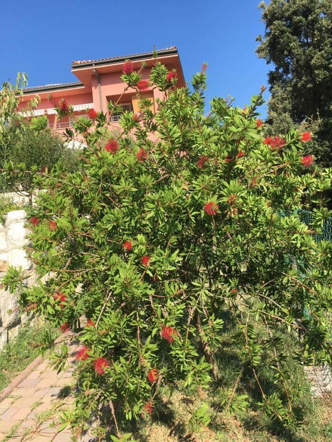 Villa Matovica Kampor Екстериор снимка